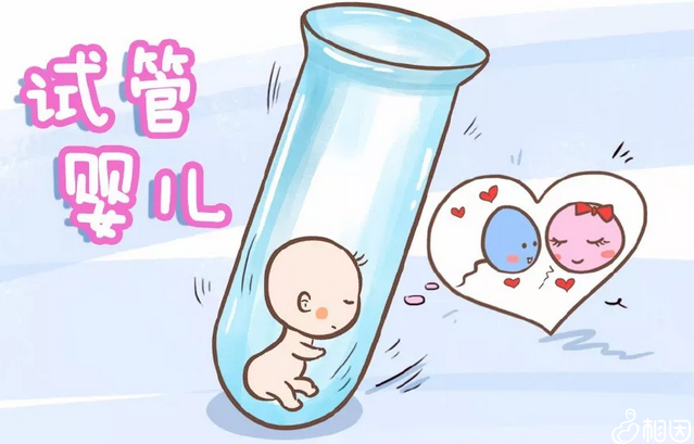 中山试管婴儿费用