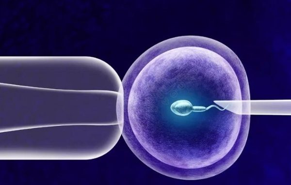 上海试管婴儿价格