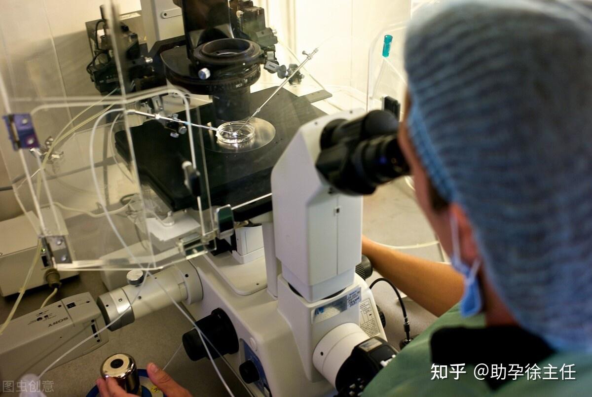 上海试管医院排名