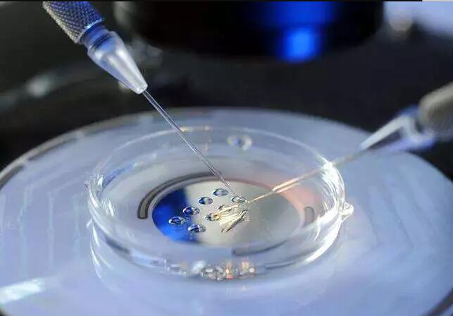 上海试管婴儿价格